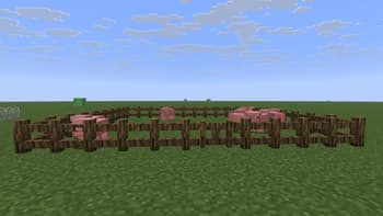 Decorative Fences screenshot