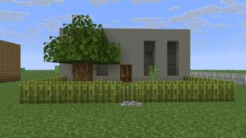 Decorative Fences screenshot