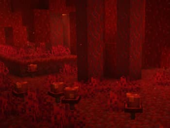 Mikapika's 3D Mushrooms screenshot