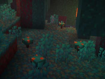 Mikapika's 3D Mushrooms screenshot