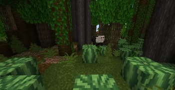 Faunus screenshot