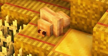 Cute Blocky Silverfish screenshot