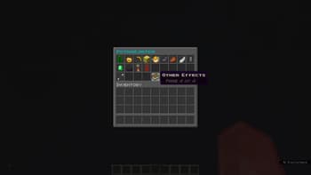 Potion Limiter screenshot
