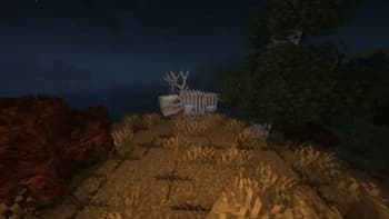 Wilderness Planecrash screenshot