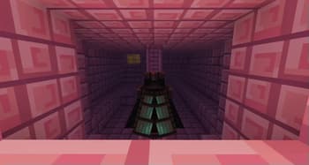 Whimscape Better Elytra Color screenshot