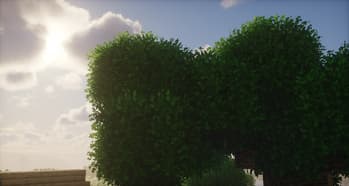 rainbow's foliage: polytone screenshot
