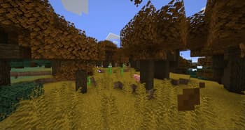 Additional Biomes screenshot