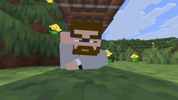 Alternative Custom Player Animations screenshot