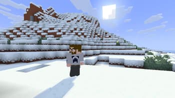 Alternative Custom Player Animations screenshot