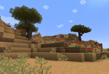 Arts & Crafts X Biomes O Plenty screenshot
