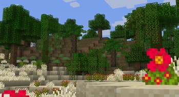 BuildsNBarrens screenshot