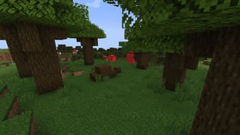 Bedrockoid screenshot