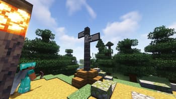 Banner Flags screenshot