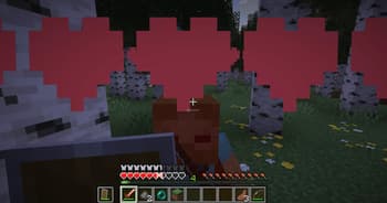 Entity Healthbar screenshot