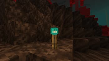 Colorful Remodel Torchers screenshot