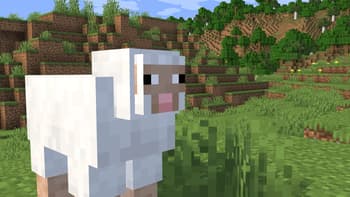 Client+ screenshot