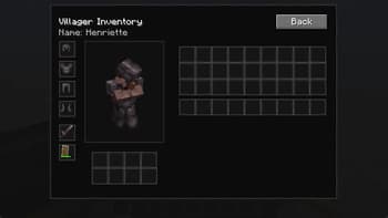 Villager Overhaul screenshot