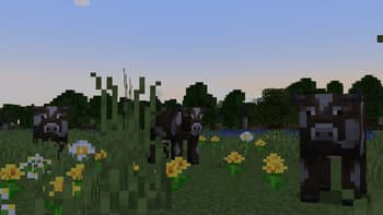 Mixed Litter screenshot