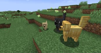 Good Boy screenshot