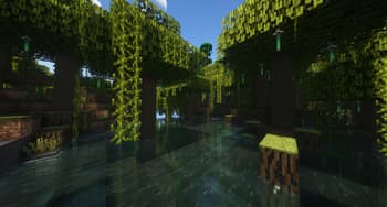 Biome Vote Swamp screenshot