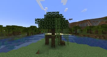Biome Vote Swamp screenshot