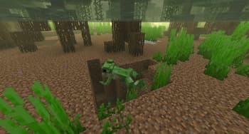 Biome Vote Swamp screenshot
