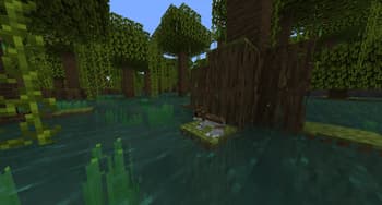 Biome Vote Swamp screenshot