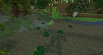 Biome Vote Swamp screenshot