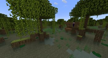 Biome Vote Swamp screenshot