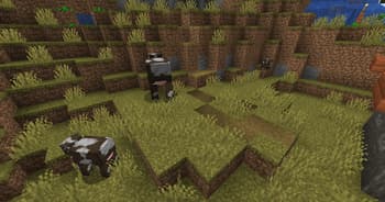 Random Mob Sizes screenshot