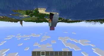 Free Look or Perspective screenshot