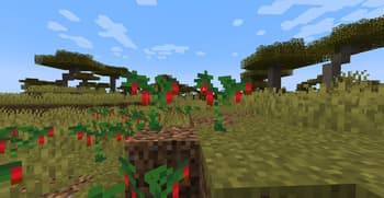 Muffin's Thai's Delight screenshot