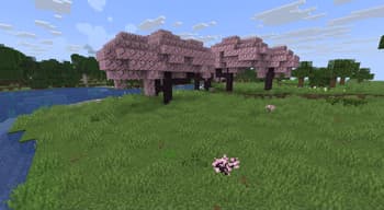 Ecological screenshot