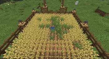 Ecological screenshot