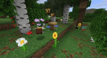 Ecological screenshot