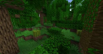 More Little Decorations screenshot