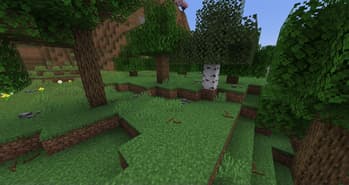 More Little Decorations screenshot