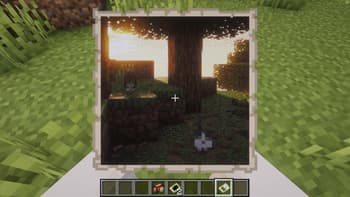 Photography Redeveloped screenshot