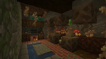 The Wax gourd screenshot