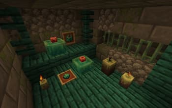 The Wax gourd screenshot