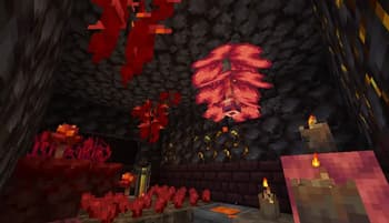 The Wax gourd screenshot