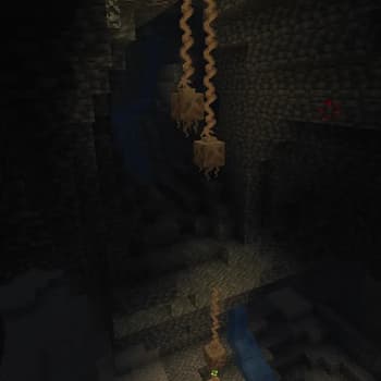 The Wax gourd screenshot