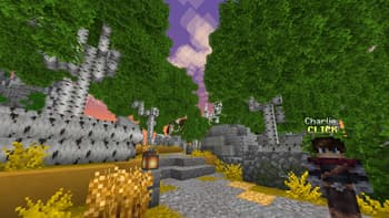 ALAND's Immersive Hypixel SkyBlock screenshot