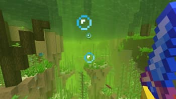 ALAND's Immersive Hypixel SkyBlock screenshot