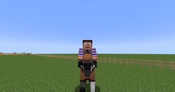 Old Horse Model screenshot