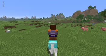 Old Horse Model screenshot