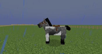 Old Horse Model screenshot