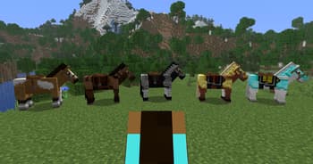Old Horse Model screenshot