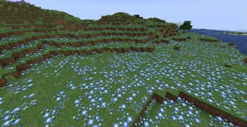 More Colorful screenshot
