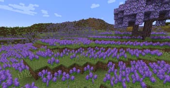 More Colorful screenshot
